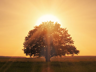 simple & powerful magic principles