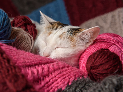 holidays: miniature magic moment for sensitives