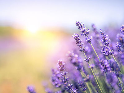 beauty as medicine for sensitives & empaths