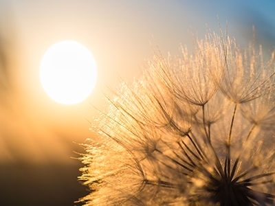 specialist guides who can help you